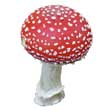 Мухомор красный (Amanita muscaria)