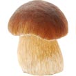 Белый гриб еловый, боровик (Boletus edulis f.edulis)