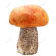 Красноголовик, подосиновик красный (Leccinum aurantiacum)