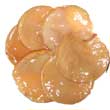 Чайный гриб (по научному - медузомицет, Medusomyces Gisevi)