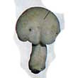 Рядовка белая (Tricholoma album)