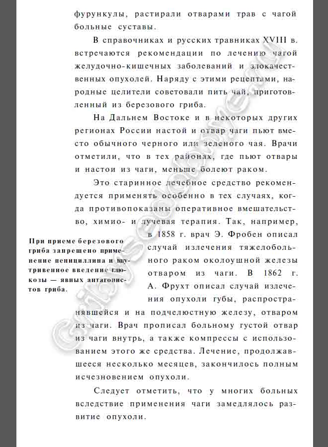 фурункулы, растирали отварами трав с чагой больные суставы. В справочниках и русских травниках ХVIII в. встречаются рекомендации по лечению чагой желудочно-кишечных заболеваний и злокачественных опухолей. Наряду с этими рецептами, народные целители советовали пить чай, приготовленный из березового гриба. На Дальнем Востоке и в некоторых других регионах России настой и отвар чаги пьют вместо обычного черного или зеленого чая. Врачи отметили, что в тех районах, где пьют отвары и настои из чаги, меньше болеют раком. Это старинное лечебное средство рекомендуется применять особенно в тех случаях, когда противопоказаны оперативное вмешательство, химио- и лучевая терапия. Так, например, в 1858 г. врач Э. Фробен описал случай излечения тяжелобольного раком околоушной железы отваром из чаги. В 1862 г. А. Фрухт описал случай излечения опухоли губы, распространявшейся и на подчелюстную железу, отваром из чаги. Врач прописал больному густой отвар из чаги внутрь, а также компрессы с использованием этого же средства. Лечение, продолжавшееся несколько месяцев, закончилось полным исчезновением опухоли. Следует отметить, что у многих больных вследствие применения чаги замедлялось развитие опухоли. При приеме березового гриба запрещено применение пенициллина и внутривенное введение глюкозы — явных антагонистов гриба.