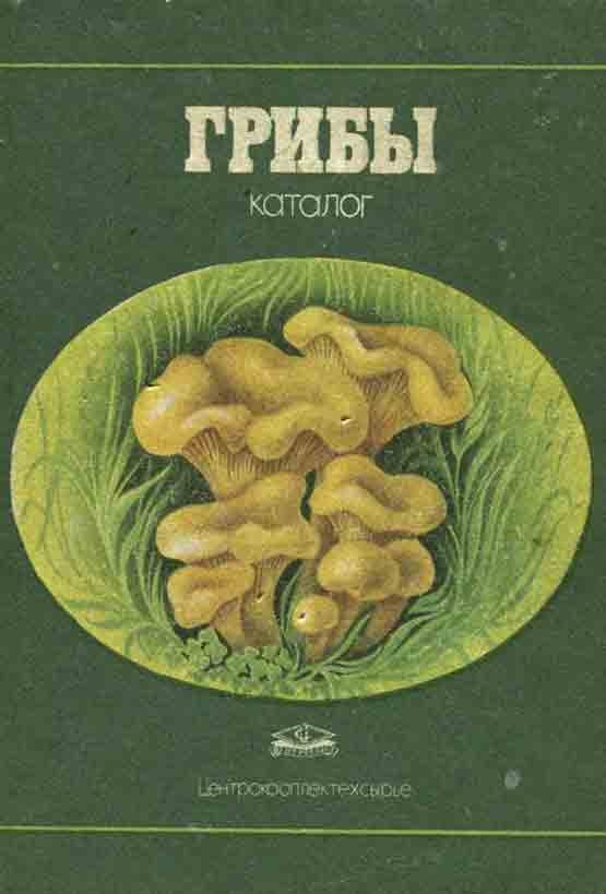 Каталог Грибы