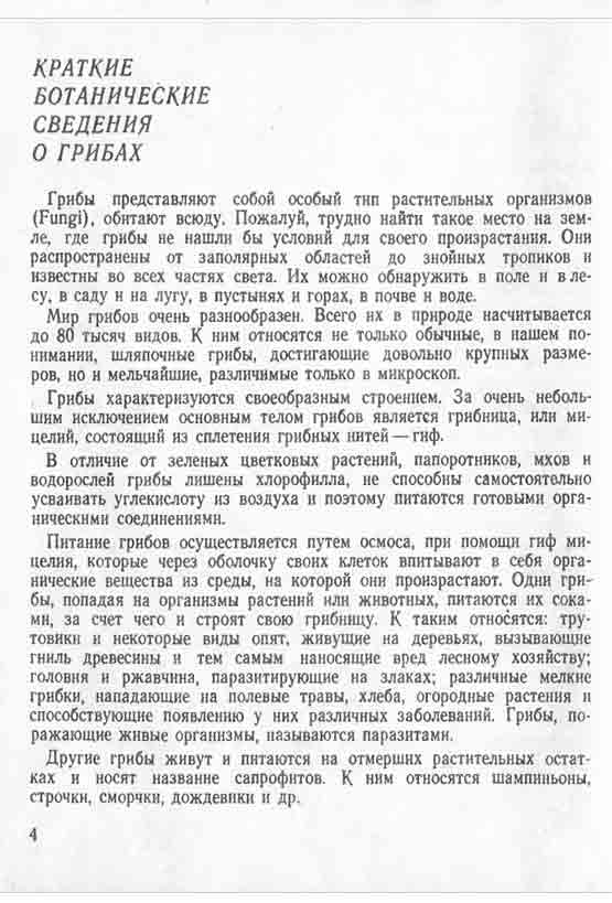 Краткие ботанические сведения о грибах