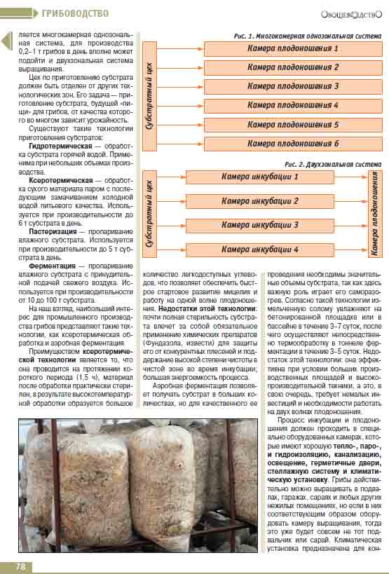 Цех по производству грибного зернового субстрата должен быть отделён от других технологических зон.