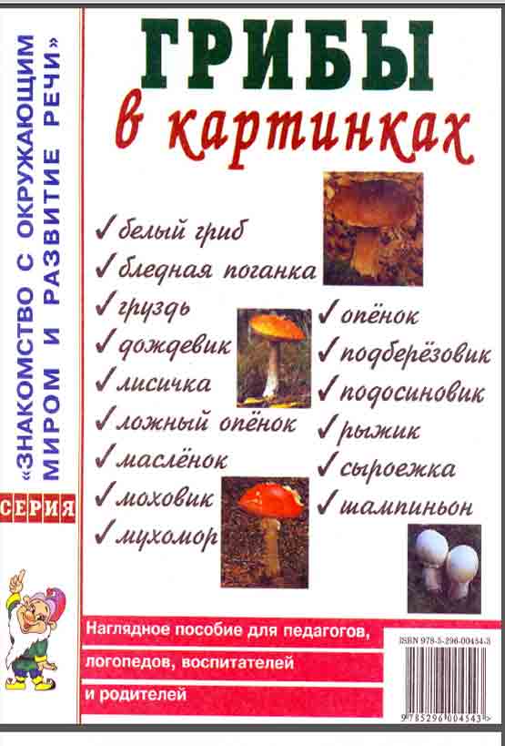 Грибы в картинках наглядное пособие для преподавателей