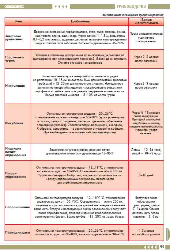 Технология выращивания шиитаке
