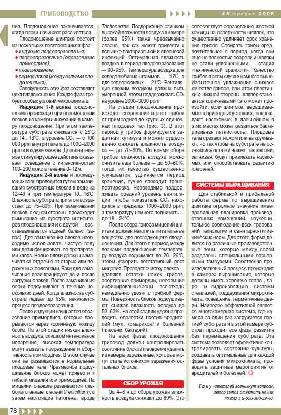 Для стабильной и прибыльной работы фермы по выращиванию шиитаке огромное значение имеет правильная планировка производственных помещений.