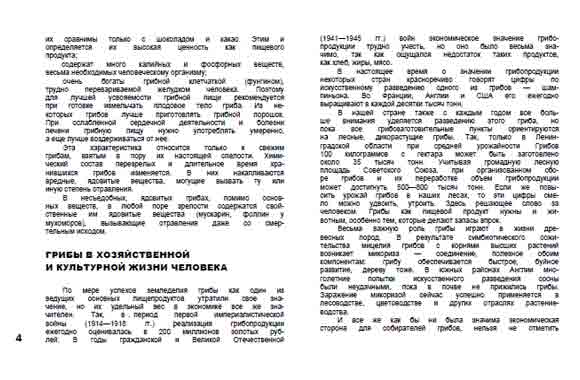 Грибы в хозяйственной и культурной жизни человека.