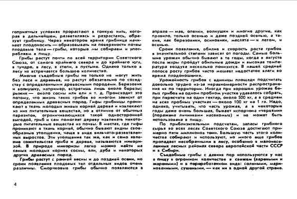 Многие съедобные грибы не только не могут жить без леса и деревьев, но растут обязательно с определёнными видами пород.