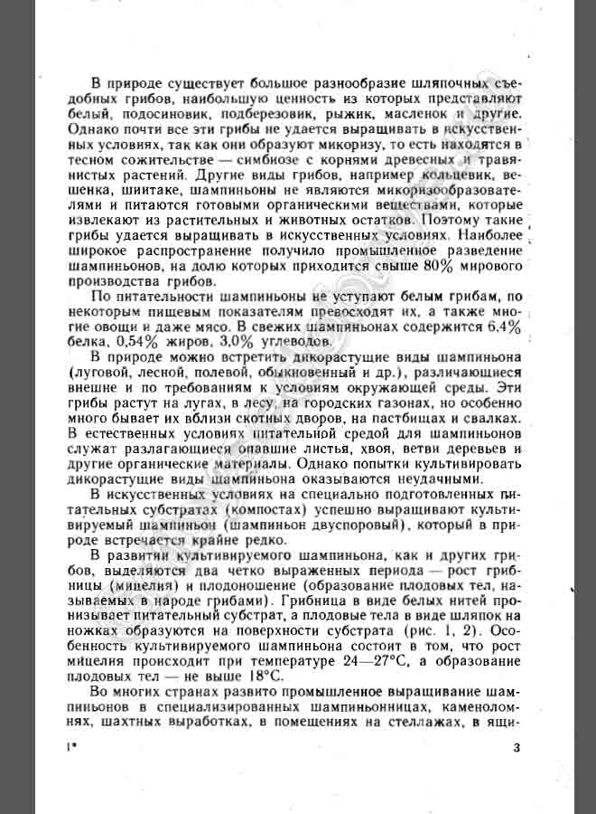 По питательности шампиньоны не уступают белым грибам, а по некоторым пищевым показателям превосходят овощи и даже мясо.
