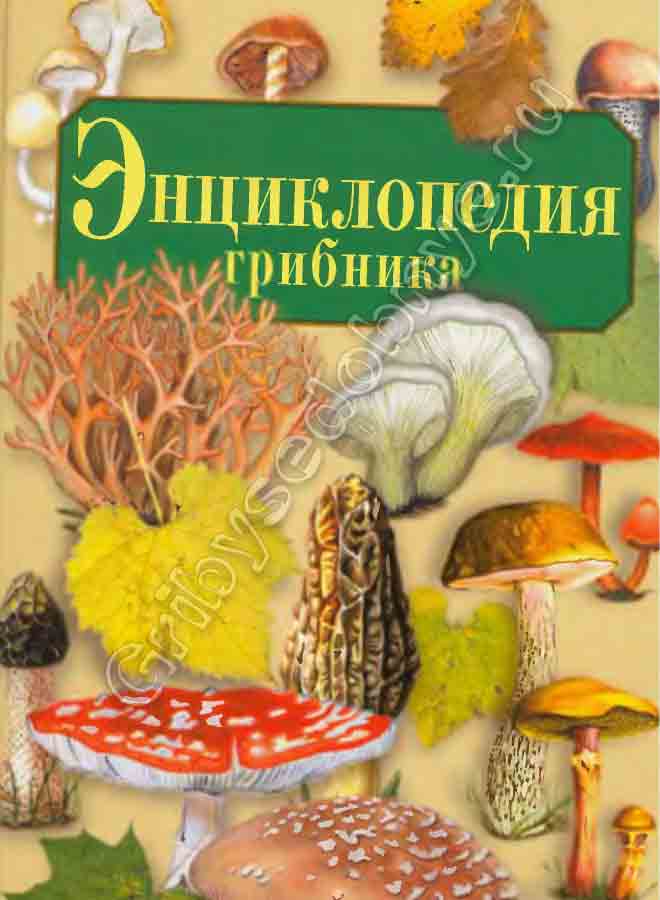Энциклопедия грибника