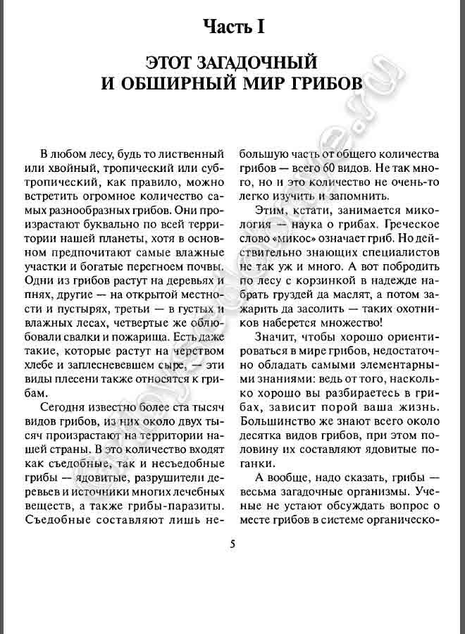 В любом лесу, будь то лиственный или хвойный, тропический или субтропический, как правило, можно встретить огромное количество самых разнообразных грибов. Они произрастают буквально по всей территории нашей планеты, хотя в основном предпочитают самые влажные участки и богатые перегноем почвы. Одни из грибов растут на деревьях и пнях, другие — на открытой местности и пустырях, третьи — в густых и влажных лесах, четвертые же облюбовали свалки и пожарища. Есть даже такие, которые растут на черством хлебе и заплесневевшем сыре, — эти виды плесени также относятся к грибам.