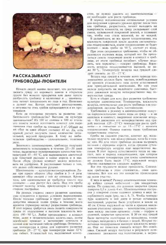 Выгодна ли культура шампиньонов? Из 100 кг соломы и 100 кг птичьего помёта можно получить до 45 кг шампиньонов за один раз.