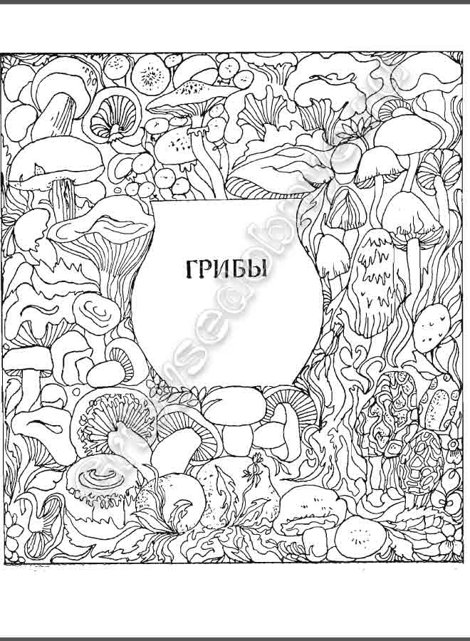 Грибы