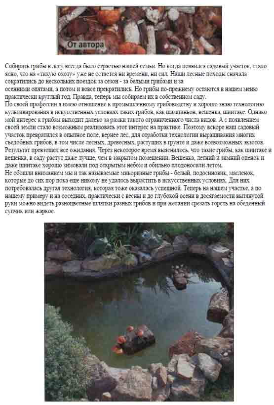 Собирать грибы в лесу всегда было страстью нашей семьи. Но когда появился садовый участок стоало ясно, что на тихую охоту времени нет