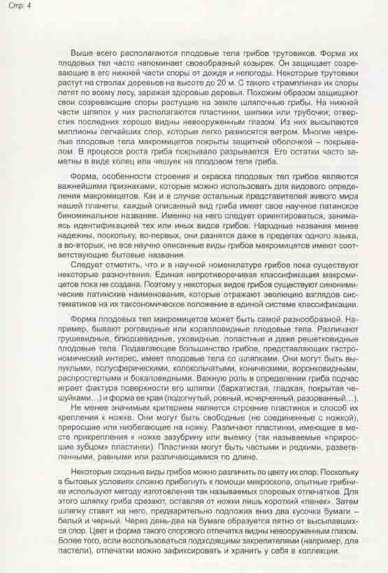 Выше всего располагаются плодовые тела трутовиков.