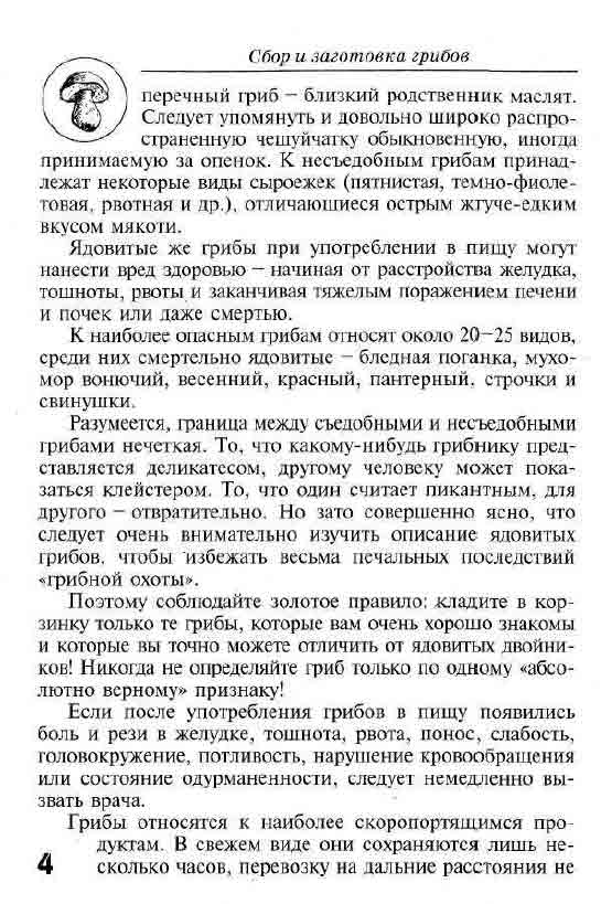 Перечный гриб близкий родственник маслят