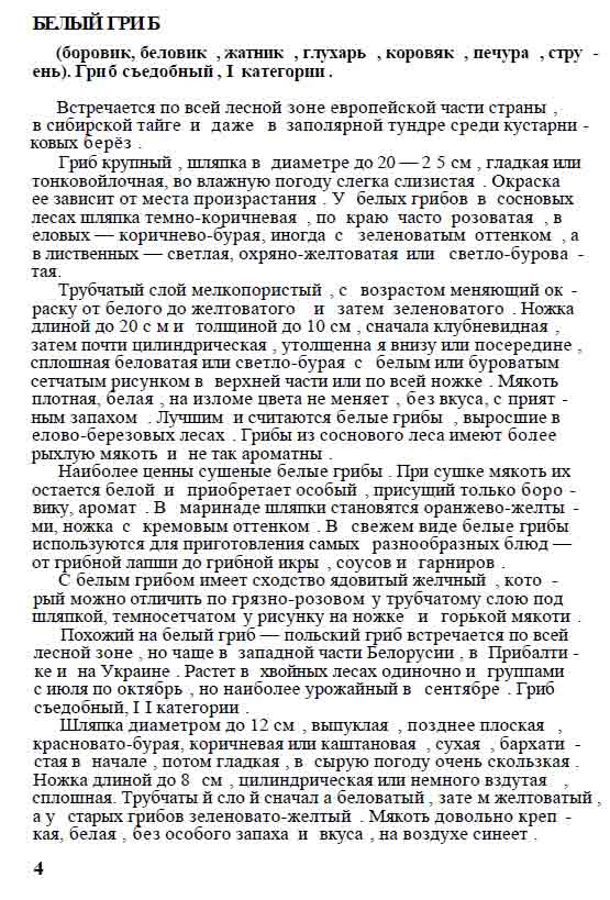 Белый гриб боровик, беловик, жатник, глухарь, коровяк