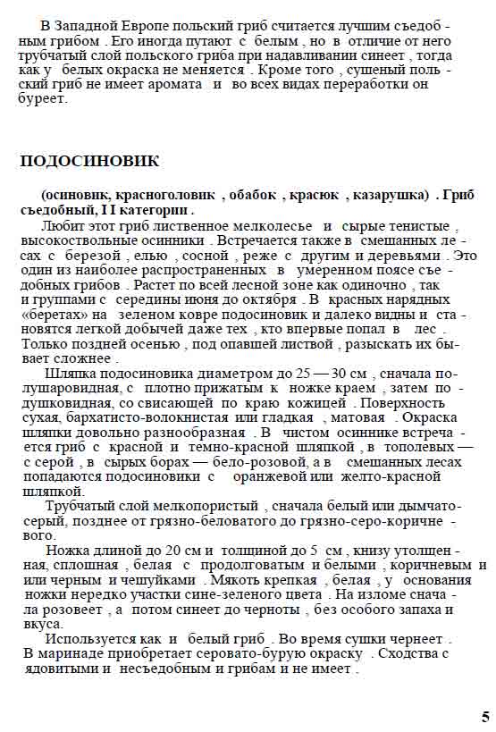 Подосиновик, обабок, красюк