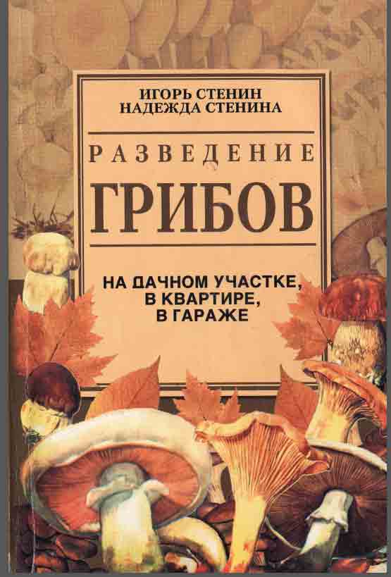 Разведение грибов на дачном участке, в квартире, в гараже
