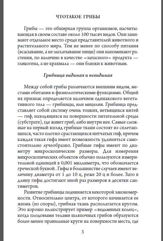 Что такое грибы?