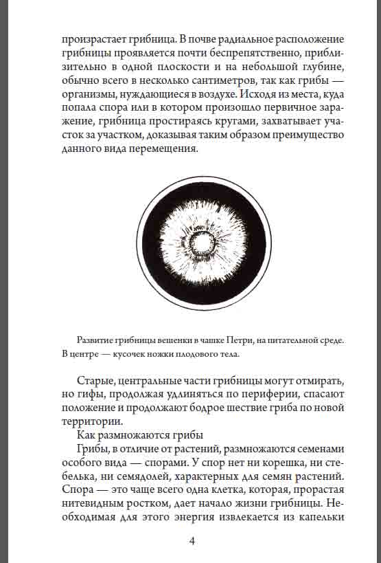 В почве радиальное расположение грибницы проявляется почти беспрепятственно