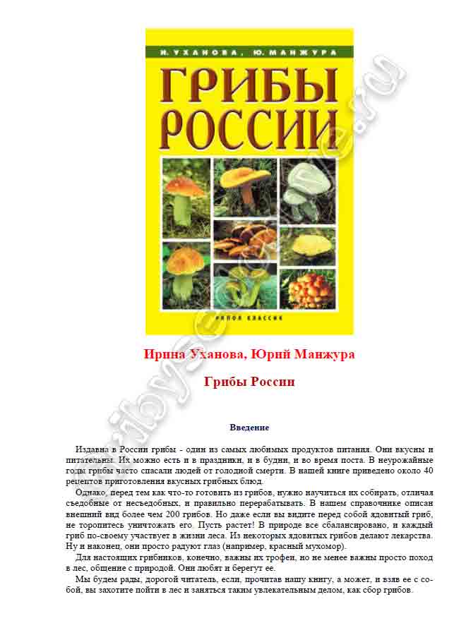 питательны. Их можно есть и в праздники, и в будни, и во время поста. В неурожайные годы грибы часто спасали людей от голодной смерти. В нашей книге приведено около 40 рецептов приготовления вкусных грибных блюд. Однако, перед тем как что-то готовить из грибов, нужно научиться их собирать, отличая съедобные от несъедобных, и правильно перерабатывать. В нашем справочнике описан внешний вид более чем 200 грибов. Но даже если вы видите перед собой ядовитый гриб, не торопитесь уничтожать его. Пусть растет! В природе все сбалансировано, и каждый гриб по-своему участвует в жизни леса. Из некоторых ядовитых грибов делают лекарства. Ну и наконец, они просто радуют глаз (например, красный мухомор). Для настоящих грибников, конечно, важны их трофеи, но не менее важны просто поход в лес, общение с природой. Они любят и берегут ее. Мы будем рады, дорогой читатель, если, прочитав нашу книгу, а может, и взяв ее с со- бой, вы захотите пойти в лес и заняться таким увлекательным делом, как сбор грибов.