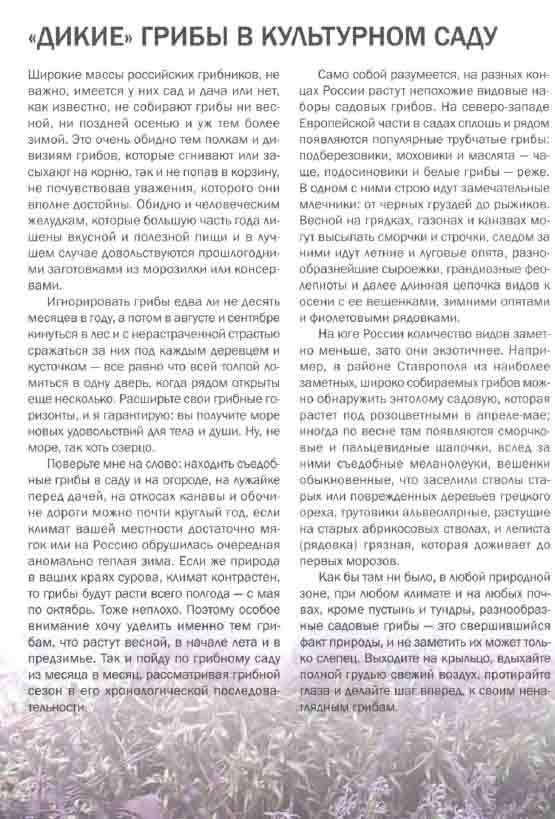 Широкие массы грибников, не важно, имеется у них сад или дача, не собирают грибы весной