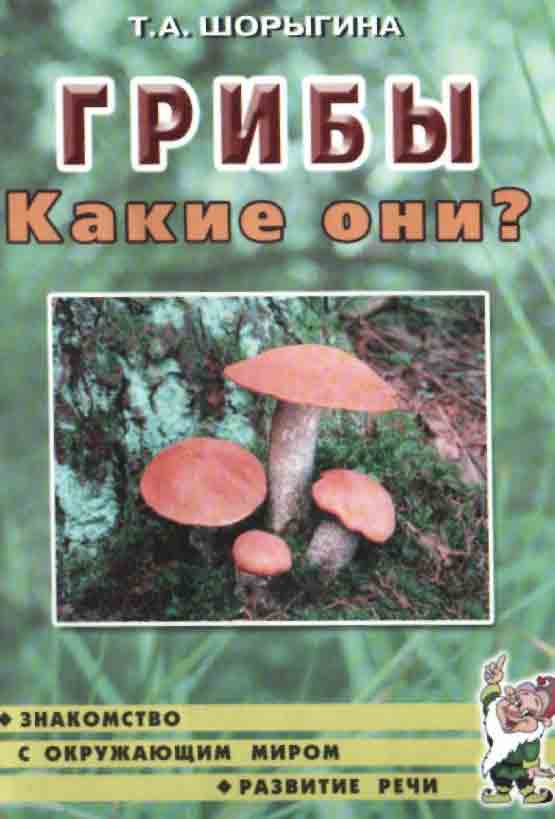Грибы какие они? Знакомство с окружающим миром