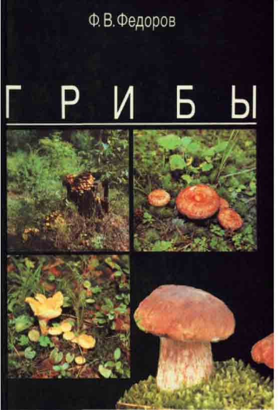 Грибы издание
