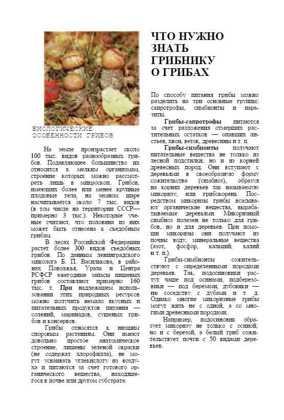 Что нужно знать грибнику о грибах