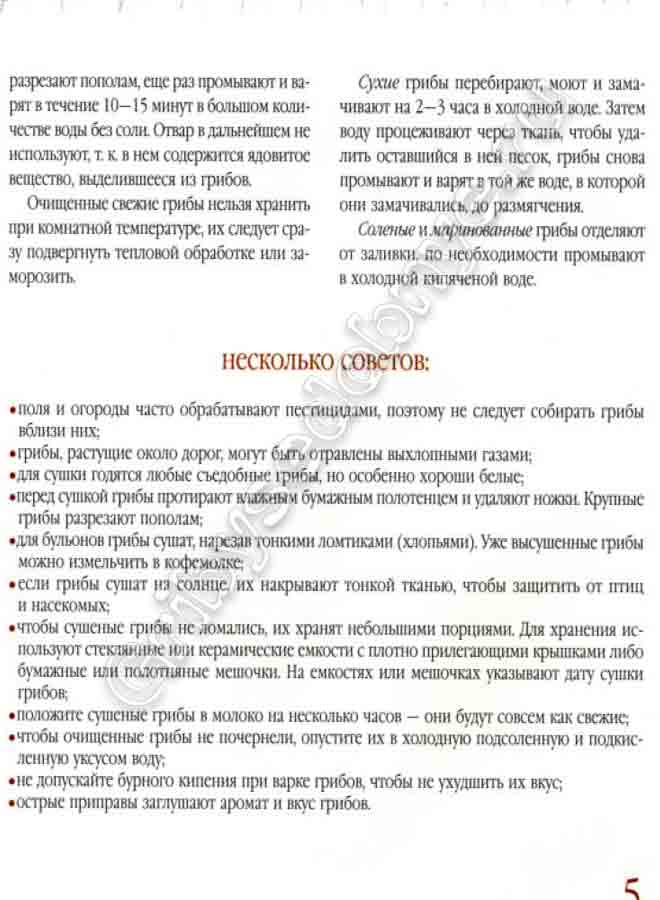 Очищенные свежие грибы нельзя хранить при комнатной температуре. Их следует подвергнуть сразу тепловой обработке.