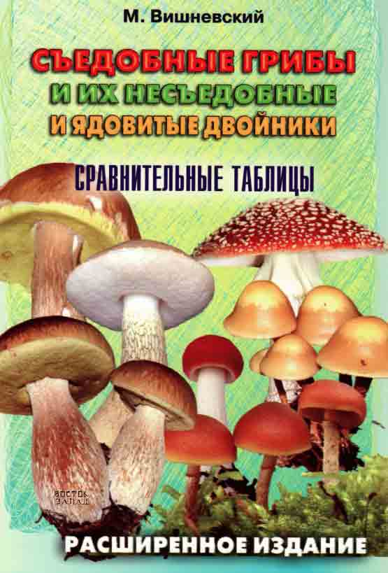 Съедобные грибы и их двойники 1