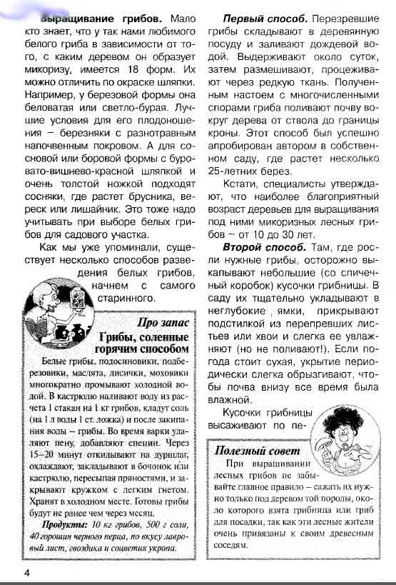 Способы выращивания грибов в саду