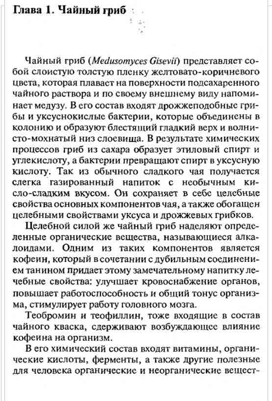 Чайный гриб представляет собой слоистую толстую плёнку жёлтовато-коричневого цвета