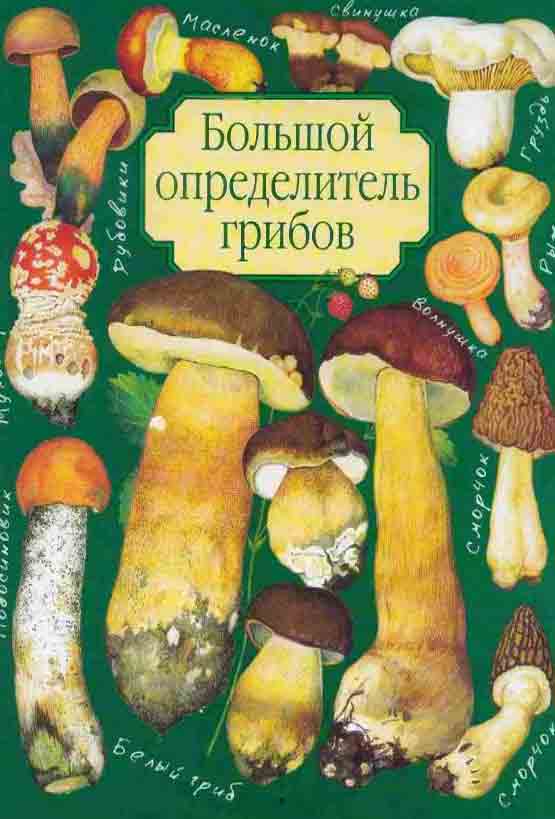 Большой определитель грибов