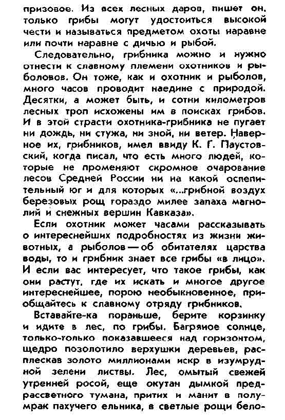 Из всех лесных даров только грибы могут удостоиться высокой чести и называться предметом охоты