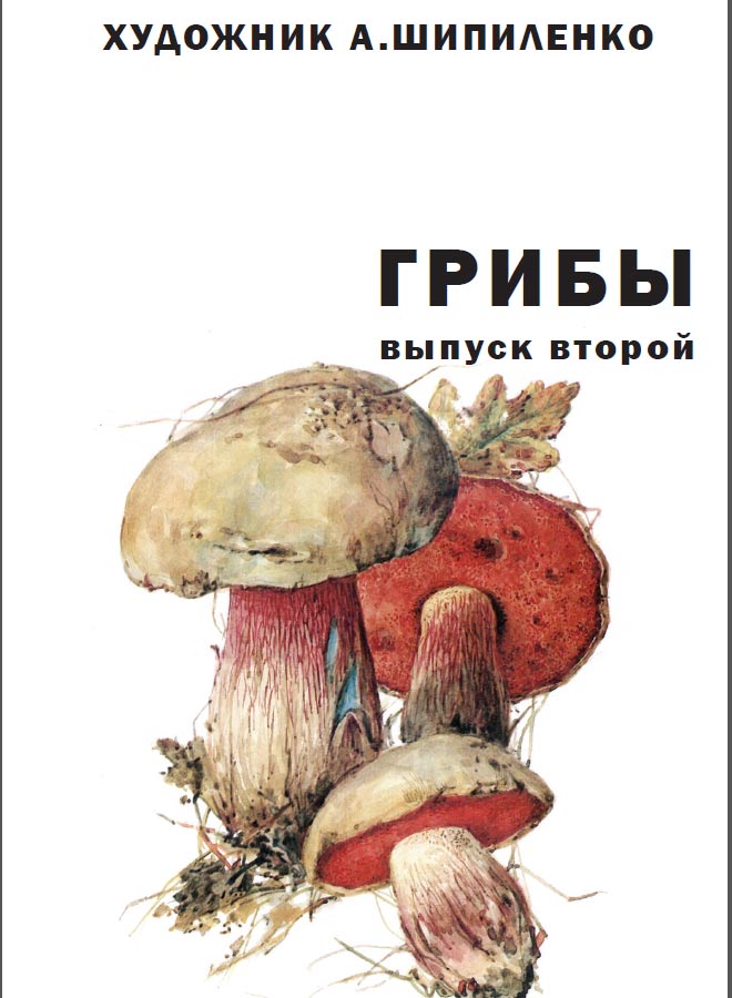 Грибы выпуск в открытках