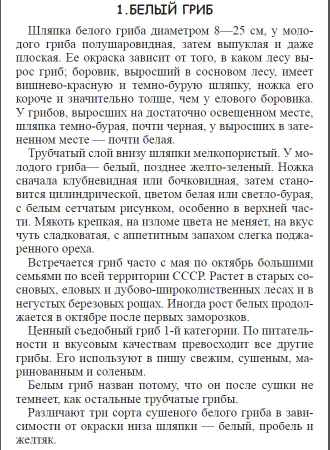 Шляпка белого гриба диаметром 8-25 см
