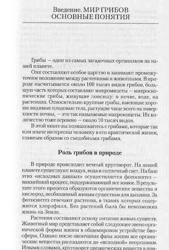 Мир грибов основные понятия