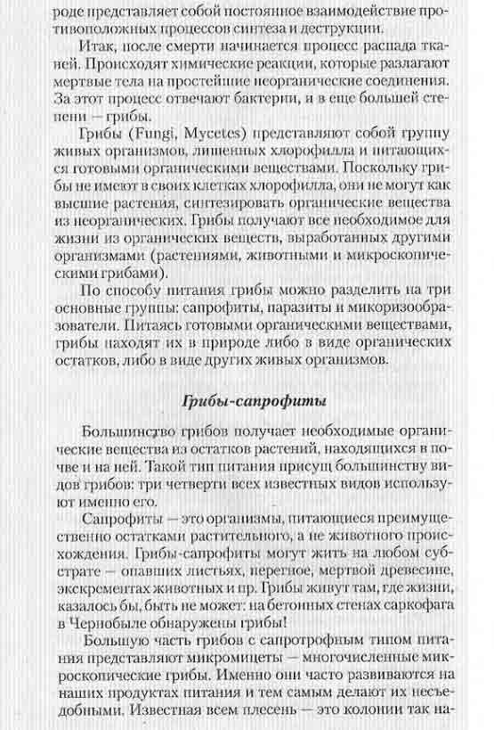 По способу питания грибы можно разделить на три основные группы