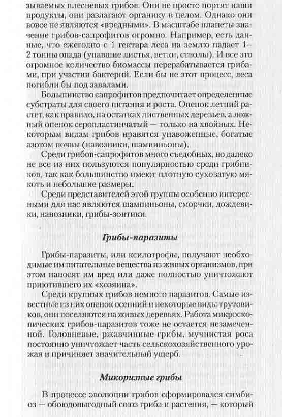 Грибы-паразиты или ксилотрофы получают необходимые им питательные вещества из живых организмов