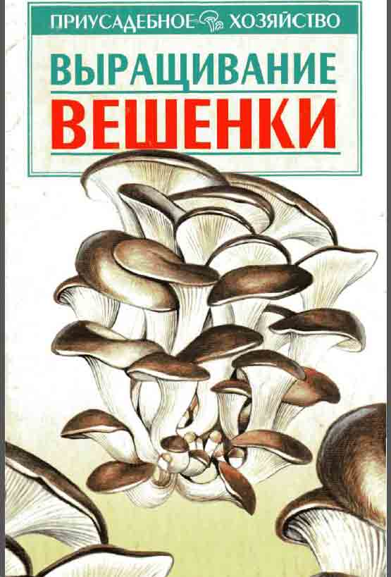 Выращивание вешенки