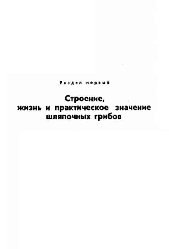 Строение, жизнь и практическое значение шляпочных грибов