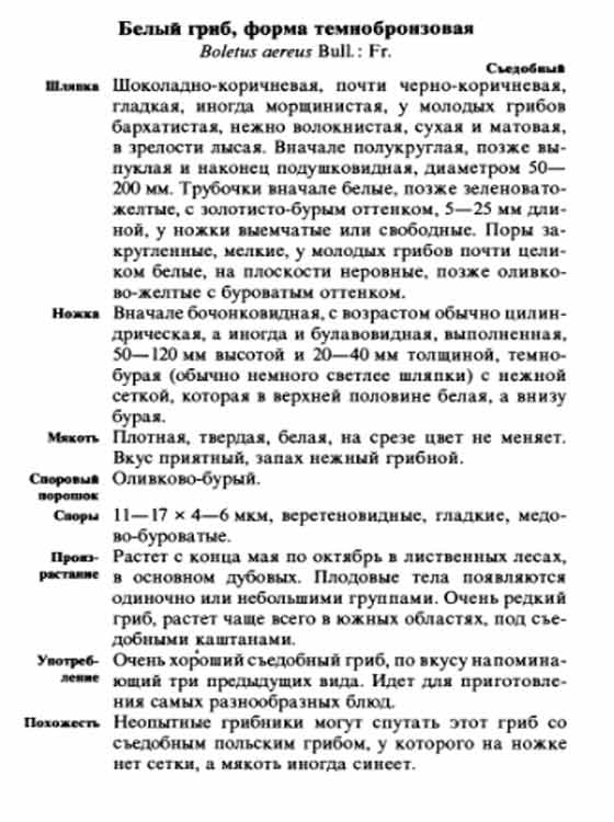 Описание белого гриба тёмнобронзовой формы с энциклопедии