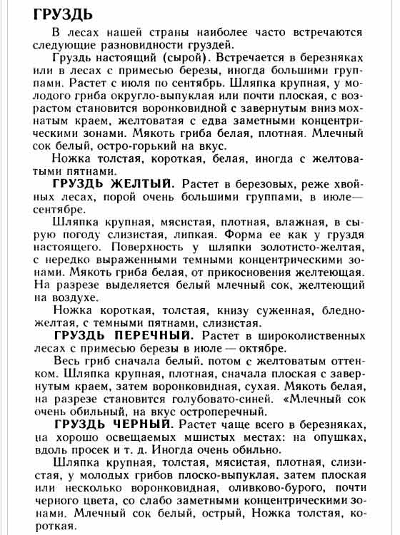 Описание сырого груздя, груздя жёлтого, груздя перечного, груздя чёрного в картинках