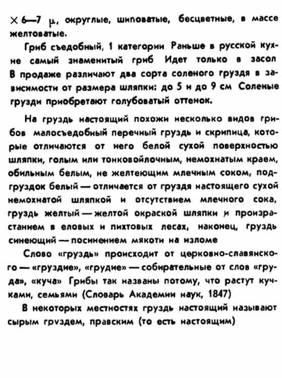 Груздь настоящий описание со времён СССР (продолжение)