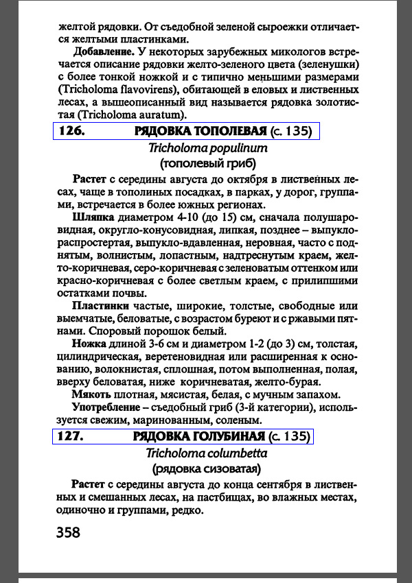 Текстовое описание рядовки тополёвой в картинках