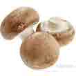 Королевский шампиньон (Agaricus bisporus)